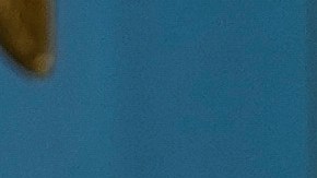 Coordinador de la respuesta de la Casa Blanca al covid dejó su cargo