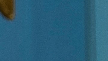 Coordinador de la respuesta de la Casa Blanca al covid dejó su cargo