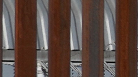 Solo 46% de los migrantes que han cruzado la frontera sur de EE.UU han podido solicitar asilo