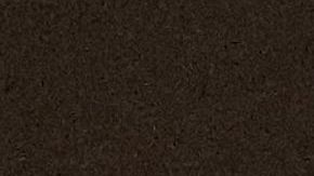 Se registraron 2,660 homicidios en México durante el mes de mayo