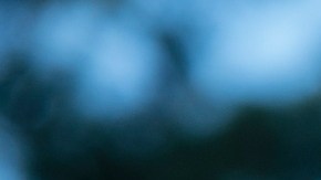 Niño de 7 años disparó accidentamente a otro menor de edad en una casa de Kentucky