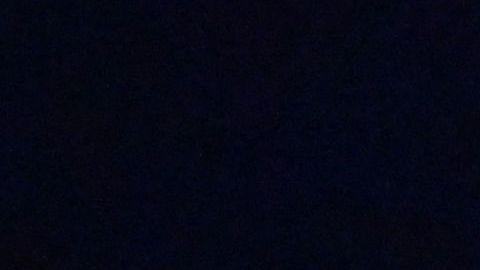Tiroteo en un festival de música electrónica en Washington dejó dos muertos y cinco heridos