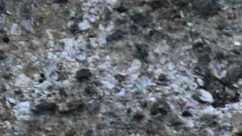 Investigan muerte de una estudiante universitaria encontrada al costado de una carretera en Michigan