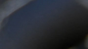 Arrestan a un hombre por el homicidio de cuatro personas dentro de una vivienda en Idaho