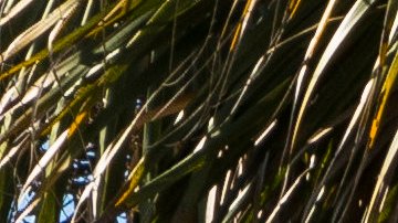 Exponen argumentos finales en el juicio contra oficial de Parkland acusado de no confrontar al tirador de la escuela