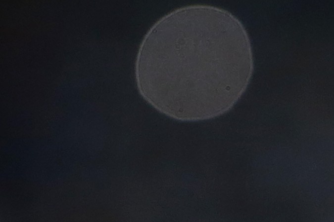 Lionel Messi, nuevo jugador del Inter Miami de la MLS.