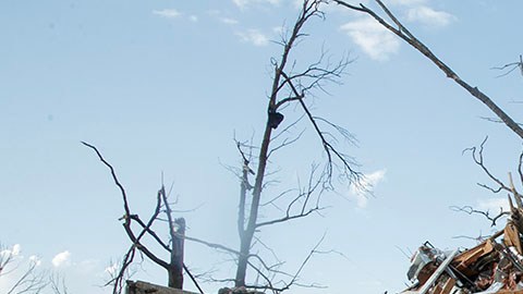Tornado