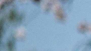People walk beneath the cherry blossoms in full bloom along a street in Seoul on April 3, 2023. (Photo by ANTHONY WALLACE / AFP) (Photo by ANTHONY WALLACE/AFP via Getty Images)