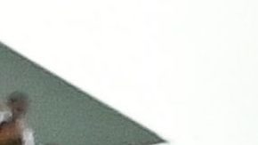 Shakira hace sufrir a Tom Cruise por andar con Lewis Hamilton | CHANDAN KHANNA/AFP via Getty Images