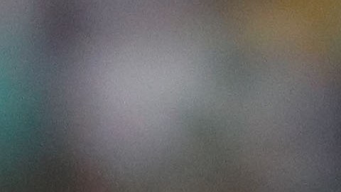 Nicolás Larcamón, técnico del Club León.