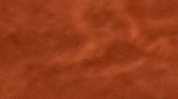 Swiatek ha ganado dos títulos consecutivos de Roland Garros.