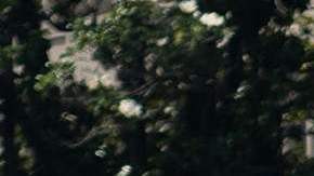 Biden habló a los asistentes a la celebración del Mes del Orgullo en la Casa Blanca.