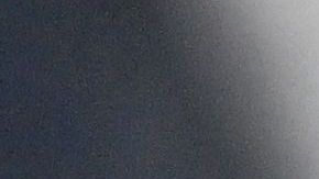 Employees of the National Fisheries and Aquaculture Service (Sernapesca) attempt to control a sea lion at a beach in La Serena, Chile on May 31, 2023. On the white sands of Isla Damas, in northern Chile, where tourists used to enjoy observing its rich fauna, today only sanitary brigades dressed in biosafety suits are seen searching for dead animals. Fear of bird flu forced the closure of the Humboldt Penguin National Reserve, in the Coquimbo region, where Damas Island is located and which is home to 56% of the reproductive pairs of this endemic species from Chile and Peru. As a result of the current bird flu crisis, 10% of the population of this penguin in Chile has died this year, according to the National Fisheries Service (Sernapesca). (Photo by MARTIN BERNETTI / AFP) (Photo by MARTIN BERNETTI/AFP via Getty Images)