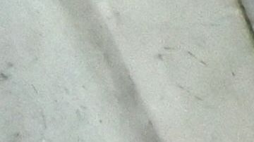 Revelan que pasajero de 19 años que abordó Titan estaba "aterrorizado" antes del viaje en el submarino