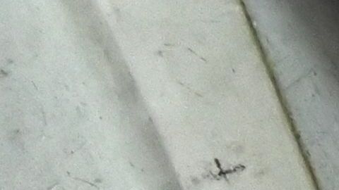 Revelan que pasajero de 19 años que abordó Titan estaba "aterrorizado" antes del viaje en el submarino