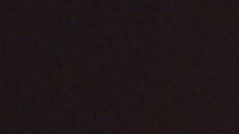 Lionel Messi, nuevo jugador del Inter Miami.