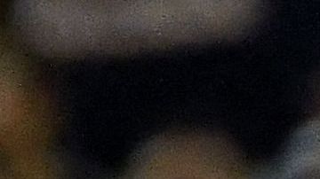 Fanático mexicano intenta ingresar al terreno de juego en la Copa Oro.