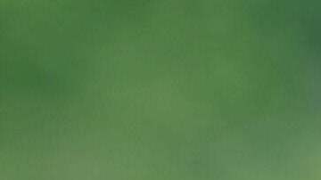 US Representative Chip Roy (R-TX) looks on as Florida Governor and 2024 Republican Presidential hopeful Ron DeSantis speaks during a news conference near the Rio Grande River in Eagle Pass, Texas, on June 26, 2023. DeSantis engaged with voters and residents in border-adjacent communities during a campaign event. (Photo by SUZANNE CORDEIRO / AFP) (Photo by SUZANNE CORDEIRO/AFP via Getty Images)