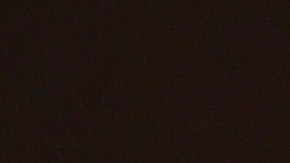 TORRANCE, CALIFORNIA - JANUARY 21: (EDITORIAL USE ONLY) Registered nurse Alisha Thiebert cares for COVID-19 patients in a makeshift ICU (Intensive Care Unit) at Harbor-UCLA Medical Center on January 21, 2021 in Torrance, California. The hospital is over its ICU capacity due to the coronavirus and has been forced to treat multiple COVID-19 patients who require ICU level care together in rooms which were designed for lower levels of care. California has become the first state in the nation to record 3 million known COVID-19 infections. Los Angeles County reported more than 250 COVID-19 fatalities on January 21. (Photo by Mario Tama/Getty Images)