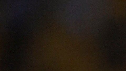 Aquino se prepara para una nueva temporada con Tigres de la UANL.