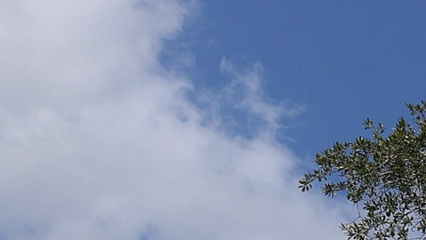 Un muerto y seis heridos en tiroteo registrado durante homenaje a un fallecido en Chicago