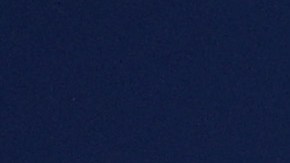 Patrick Gasienica en Beijing 2022 con Estados Unidos.