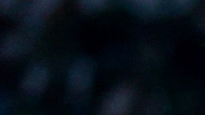 Ricardo Pepi en una jugada dividida con César Montes.