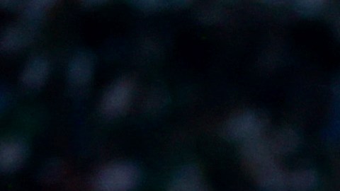 Ricardo Pepi en una jugada dividida con César Montes.