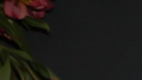 Rafael Araneda causó controversia al usar un vestido igual al de Ana Patricia Gámez