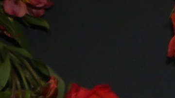 Rafael Araneda causó controversia al usar un vestido igual al de Ana Patricia Gámez