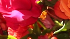 Jomari Goyso se ausentó de 'Despierta América'