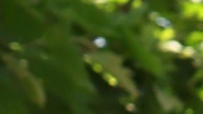 Los dreamers agregan más de $40 mil millones de dólares al año al Producto Interno Bruto (PIB).