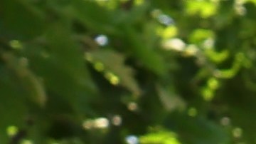 Los dreamers agregan más de $40 mil millones de dólares al año al Producto Interno Bruto (PIB).