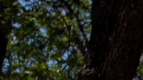 Grupo de Arizona busca destituir a senadora que sostiene que matanza de Uvalde fue montaje