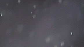 Pizarro jugó con Monterrey.