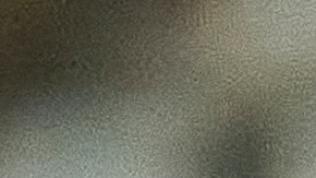 Ricardo Pepi, jugador de la selección de Estados Unidos.