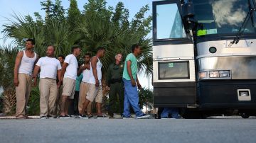 Florida reconoce el envío de inmigrantes a California, pero dice que fueron voluntariamente