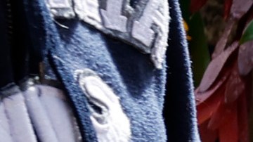 MEMPHIS, TENNESSEE - JANUARY 22: Fans visit the grave of Lisa Marie Presley during her memorial on January 22, 2023 in Memphis, Tennessee. Presley, 54, the only child of American singer Elvis Presley, died January 12, 2023 in Los Angeles. (Photo by Jason Kempin/Getty Images)