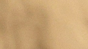 Floyd Mayweather Jr.