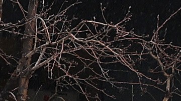 SANTA CLARA, CALIFORNIA - MARCH 10: A Brinks armored truck sits parked in front of the shuttered Silicon Valley Bank (SVB) headquarters on March 10, 2023 in Santa Clara, California. Silicon Valley Bank was shut down on Friday morning by California regulators and was put in control of the U.S. Federal Deposit Insurance Corporation. Prior to being shut down by regulators, shares of SVB were halted Friday morning after falling more than 60% in premarket trading following a 60% declined on Thursday when the bank sold off a portfolio of US Treasuries and $1.75 billion in shares to cover declining customer deposits. (Photo by Justin Sullivan/Getty Images)