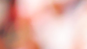 André Pierre Gignac.