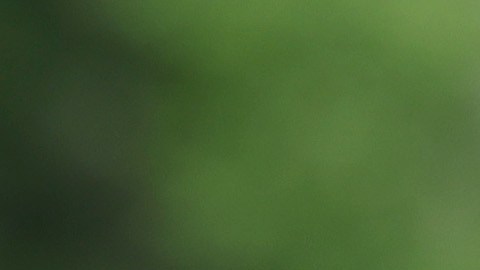 Inmigrantes y activistas han reclamado que se extienda el TPS para El Salvador, Honduras y Nicaragua.