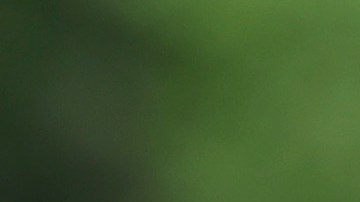 Inmigrantes y activistas han reclamado que se extienda el TPS para El Salvador, Honduras y Nicaragua.