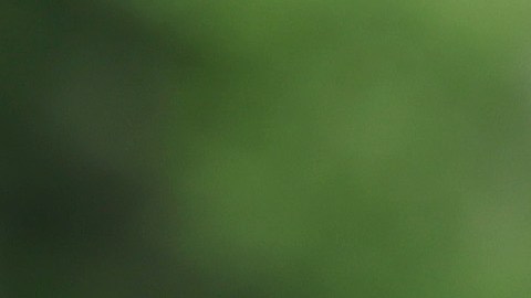 Inmigrantes y activistas han reclamado que se extienda el TPS para El Salvador, Honduras y Nicaragua.