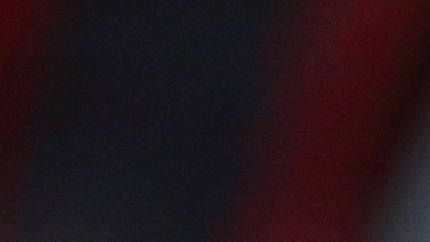Ortiz ahora dirige a Rayados de Monterrey.