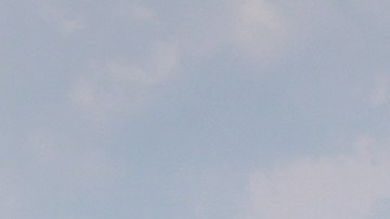 Seguidores de Ron DeSantis desplegaron banderas nazis en Disney World