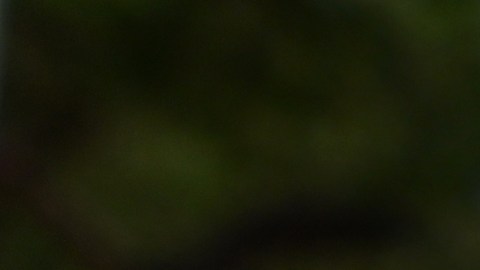 Neymar Jr. estrella de la Selección de Brasil.