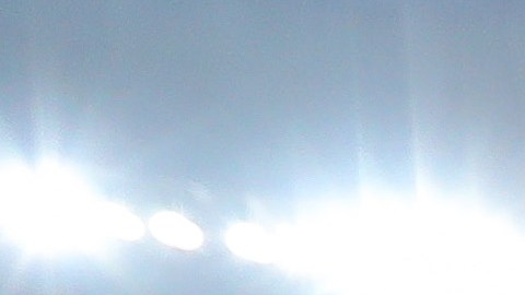 Veljko Paunovic, entrenador de las Chivas de Guadalajara.