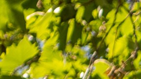 YORK, ENGLAND - JUNE 03: A pride flag is flown during the York Pride parade on June 03, 2023 in York, England. York Pride is North Yorkshire's biggest LGBT+ celebration. The day starts with a parade from York Minster through the streets of the city and arriving at the main Festival event site at the Knavesmire area. York pride aims to promote equality and diversity for the public benefit and in particular the elimination of discrimination on the grounds of sexual orientation and gender identity of those living in York and the surrounding areas. (Photo by Ian Forsyth/Getty Images)