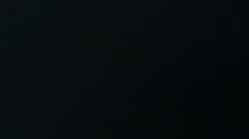 Carlo Ancelotti en un partido del Real Madrid.